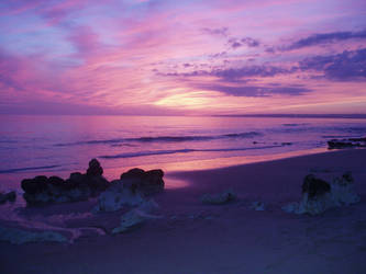 purple beach