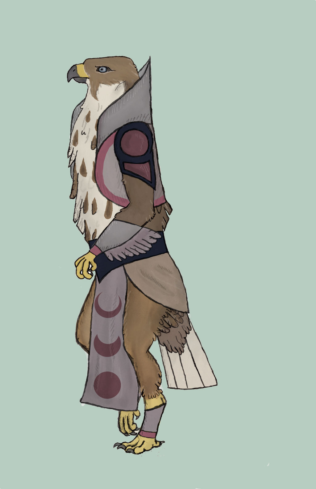 Hawk Human H for Hawk by Sushaly on DeviantArt