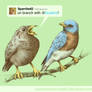 Tweet