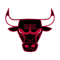 Chicago Bulls Alt Logo