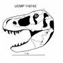UCMP 118742 (Tyrannosaurus rex)