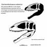 Saharan Shark Tooth Lizard