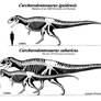 Carcharodontosaurus