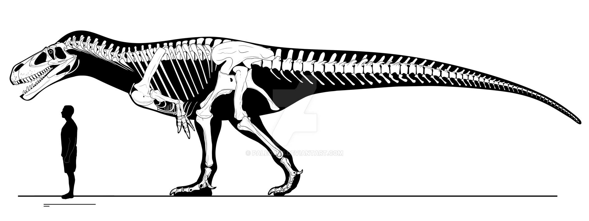 Torvosaurus tanneri by PaleoJoe on DeviantArt