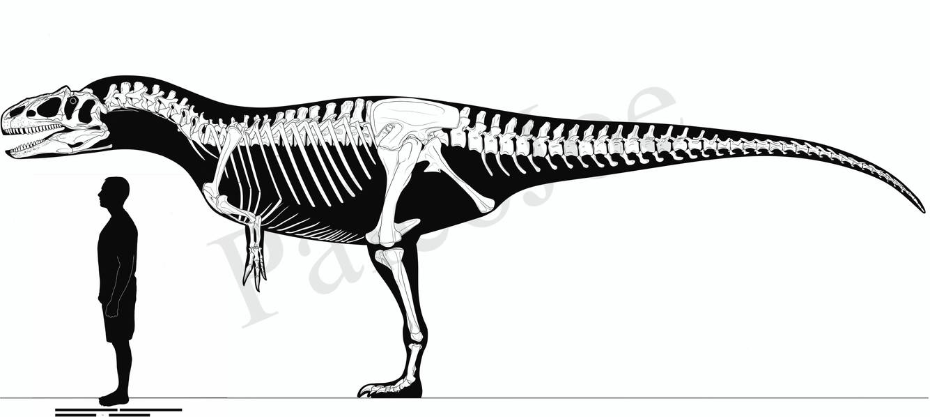Allosaurus fragilis by PaleoJoe on DeviantArt