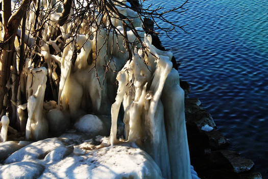 Frozen Lake-Tree