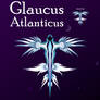 Glaucus Atlanticus
