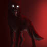 Creepy Wolf 