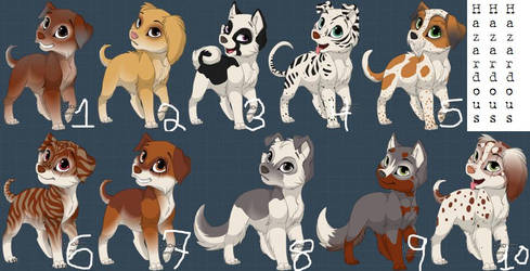 Puppy Adoptables Batch 1 - OPEN