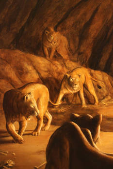 Lions detail