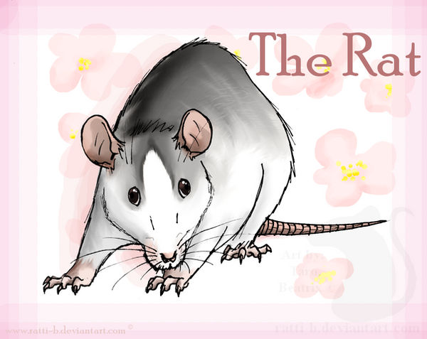 Rat Deviantart The Rat IV. by Ratti-B on DeviantArt