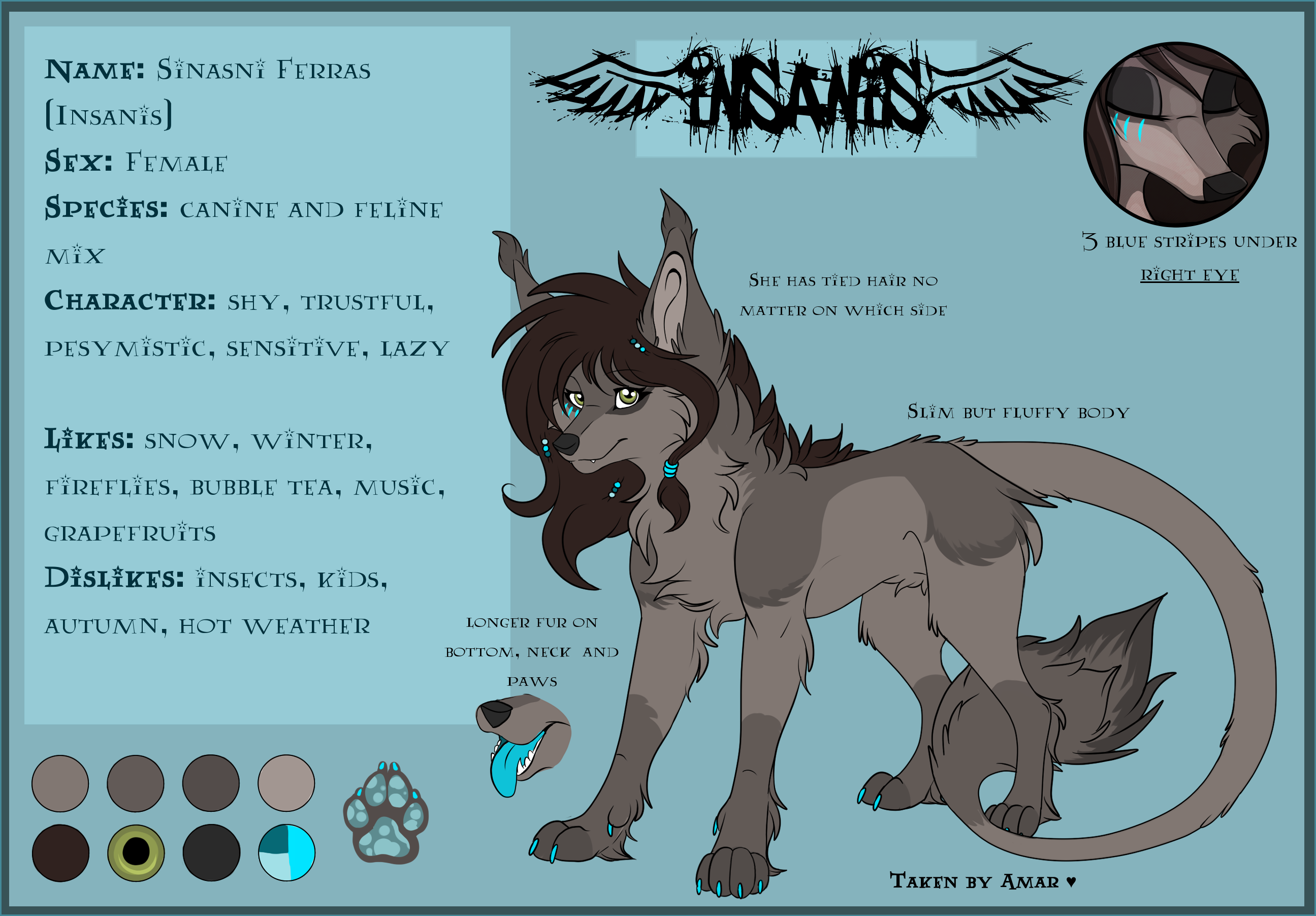 .::Insanis ref sheet 2015::.