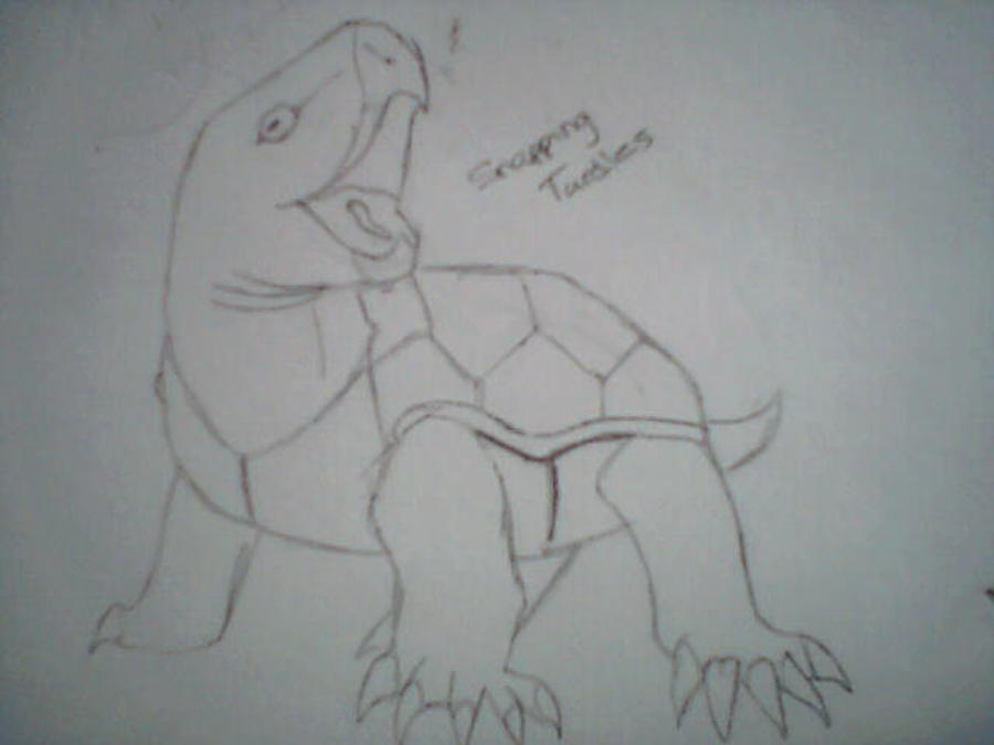 Snapping turtle sketch by BreezeFox on DeviantArt