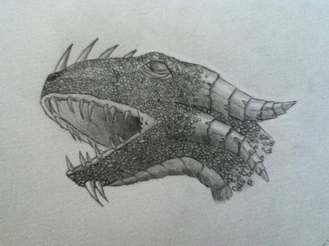 old drawing of a dragon's head