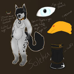 Soleka Ref Sheet