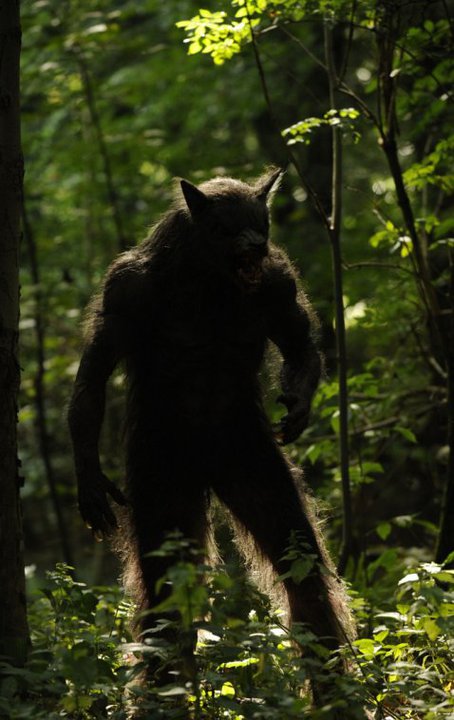 Real Werewolf By Vikinghiccup On Deviantart Real Werewolf By Vikinghiccup On Deviantart