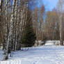 Peltosaari wetlands 2