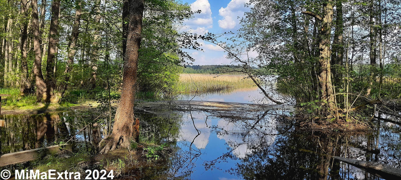 River Kutalanjoki 4 by MiMaExtra on DeviantArt