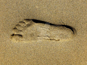 footprint