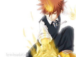 The 10th Vongola Boss