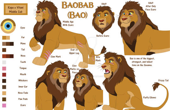 Bao Character Sheet