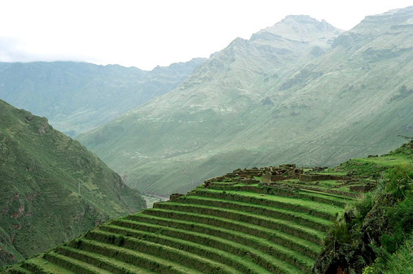 agriculture dans les andes