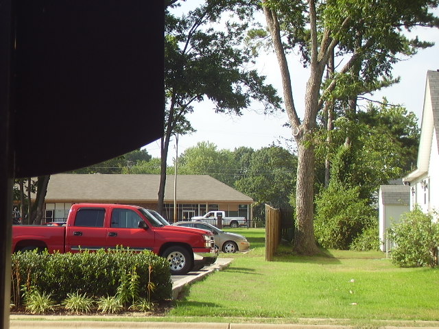 A Car Among Trees