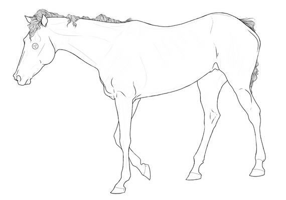 Stitch Horse Lines White