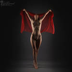 Red voile by LadyCarnal