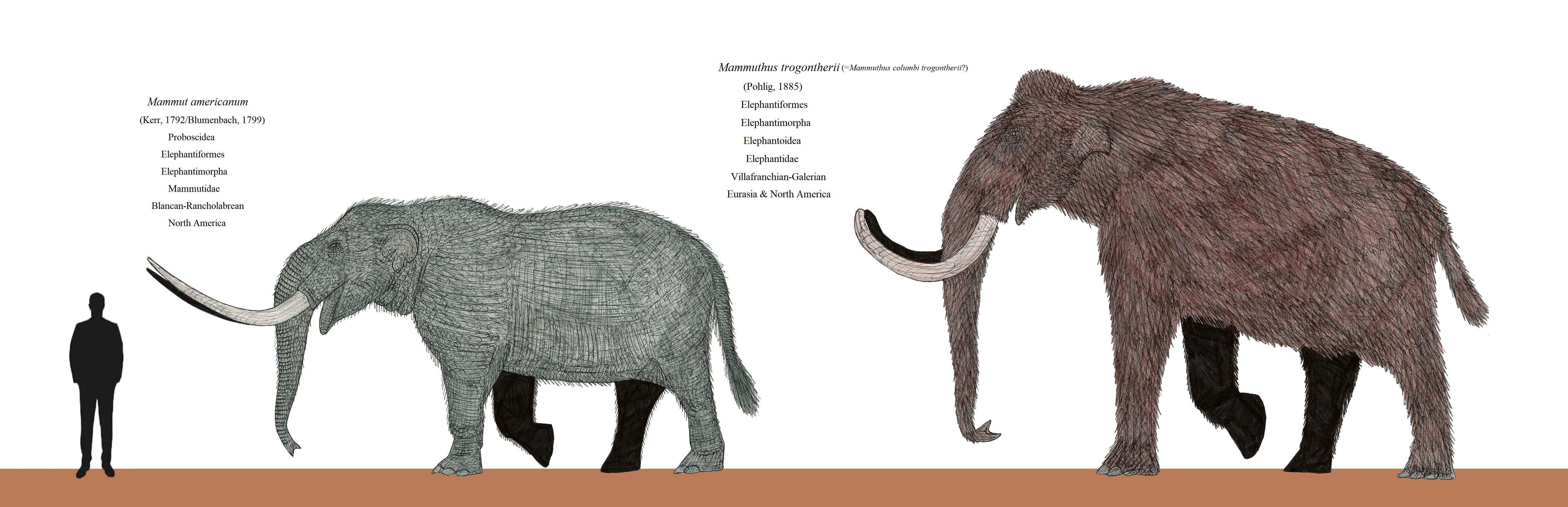 Mastodon Rats Reworking the Mastodon and Mammoth by SmiloCarnifex on DeviantArt