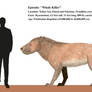 WWB Redux: Hyaenodon gigas