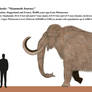 WWB Redux: Mammuthus primigenius