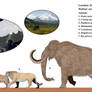 WWB: Mammoth Journey Redux