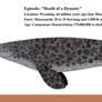 WWD Redux: Prognathodon sp