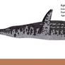 WWD Redux: Pliosaurus macromerus