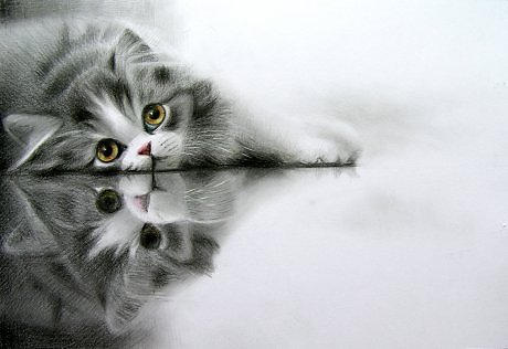 lazy by Vladimir12908 lazy by Vladimir12908