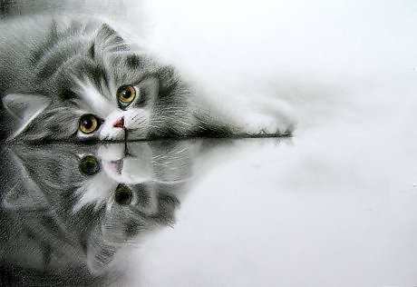 lazy by Vladimir12908 lazy by Vladimir12908