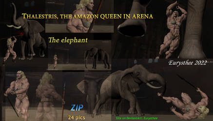 Thalestris in arena, elephant by eurysthee