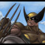 Wolverine by Red-J