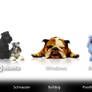 If Operating Systems were Dogs