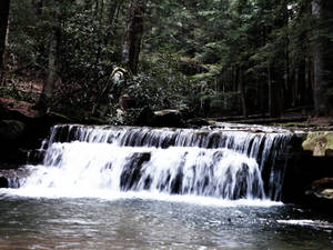 Tolliver Falls