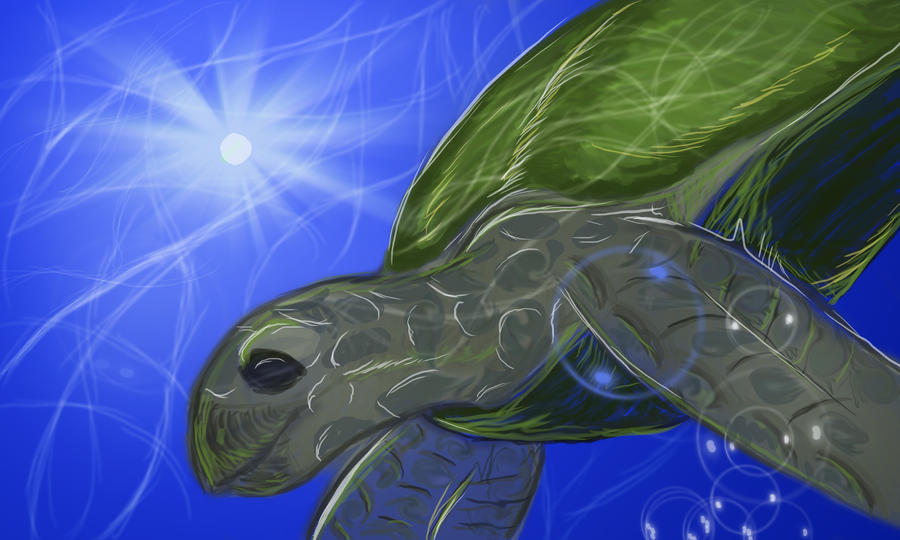 Deviantart Softshell Turtle Sea Turtles by LadyeEagle on DeviantArt