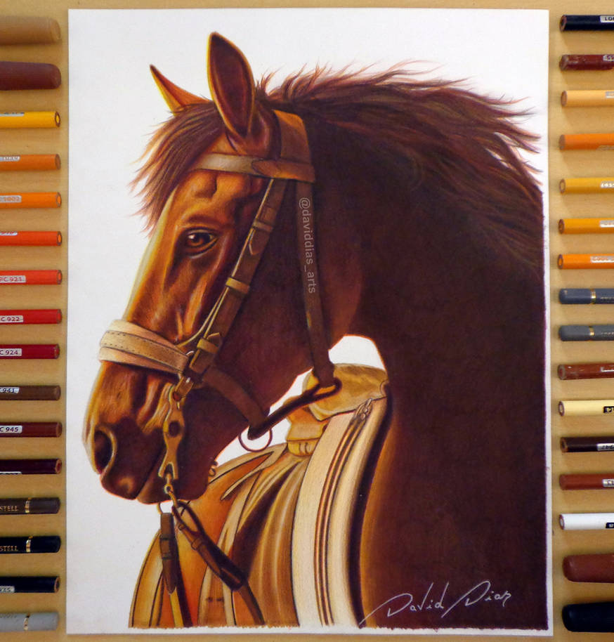 Realistic Horse | By: David Dias by Daviddiaspr