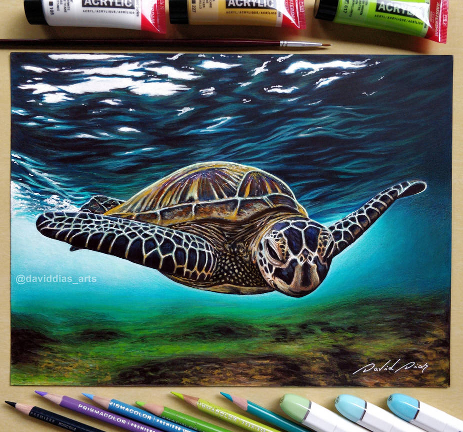 Sea Turtle by Daviddiaspr