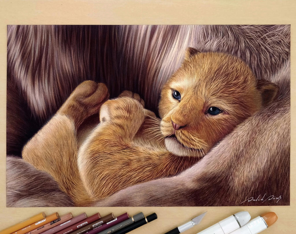 Baby Simba by Daviddiaspr on DeviantArt