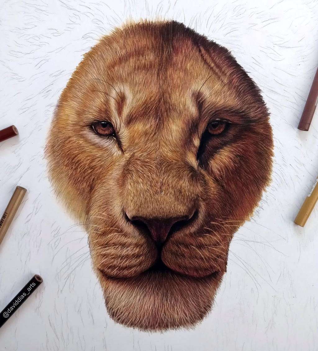 Simba The Lion King By Daviddiaspr On Deviantart
