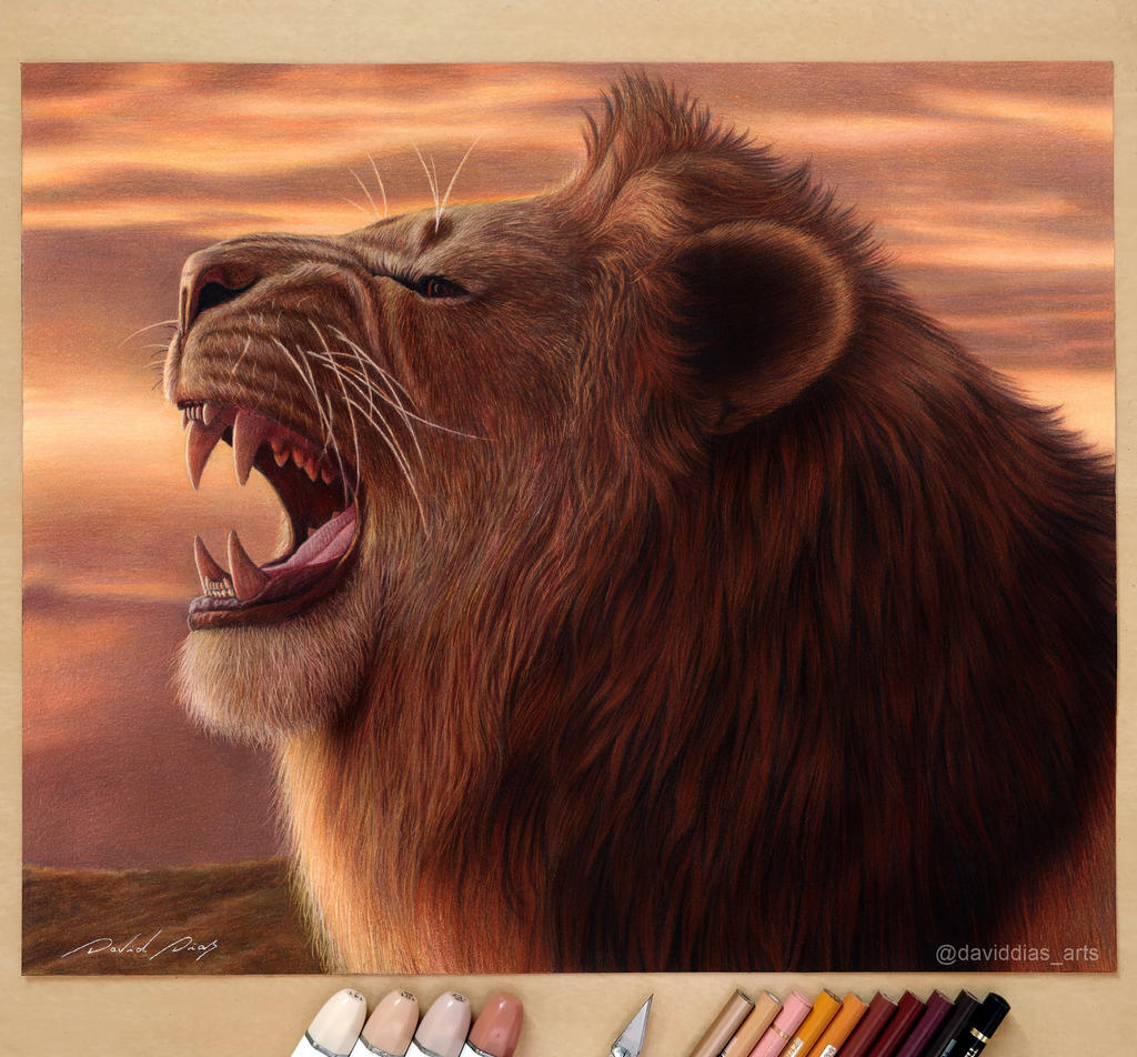 Simba The King Of Pride Rock By Daviddiaspr On Deviantart