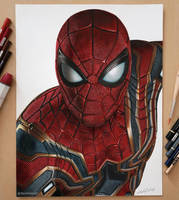 Spider Man by David Dias Art 