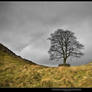 Sycamore Gap - Reprocessed