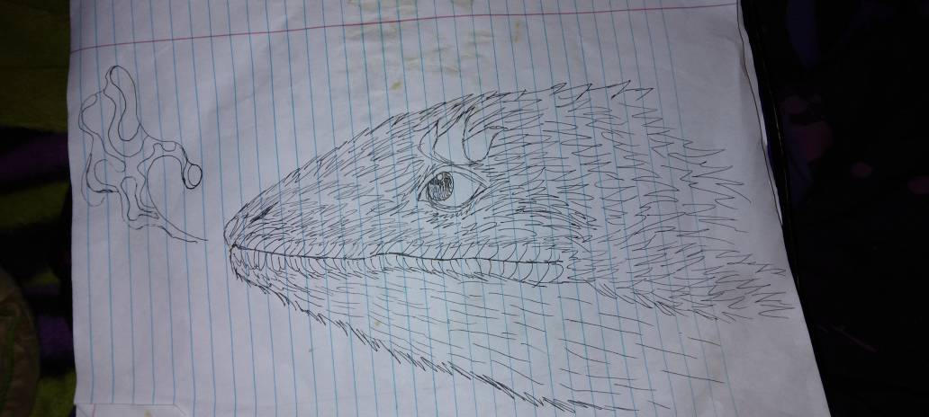 Draw Fire Lizard Fire Breathing Lizard aka Dragon by emmawarrior2004 on DeviantArt